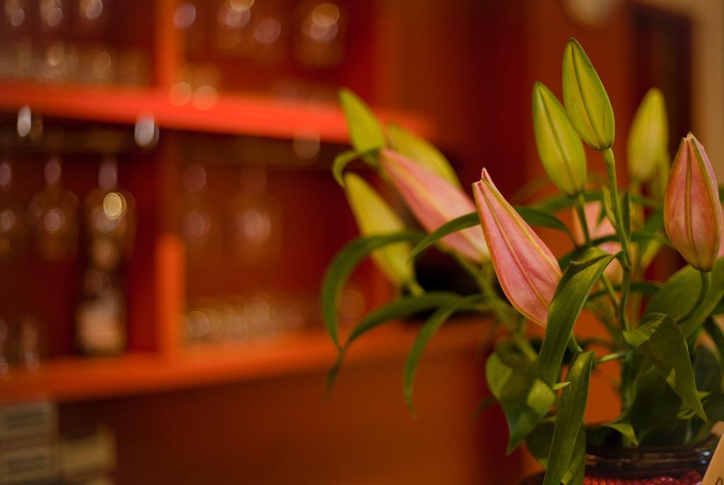 East Town 26 Hotel Hualien City Ngoại thất bức ảnh